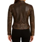 Doge Brown Leather Jacket Back Doge Brown Leather Jacket Back